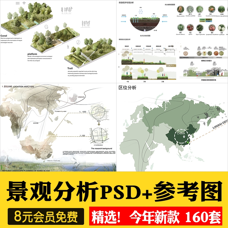 景观园林分析图PSD参考意向区位植物小场景内部剖面分析ps素材库-1