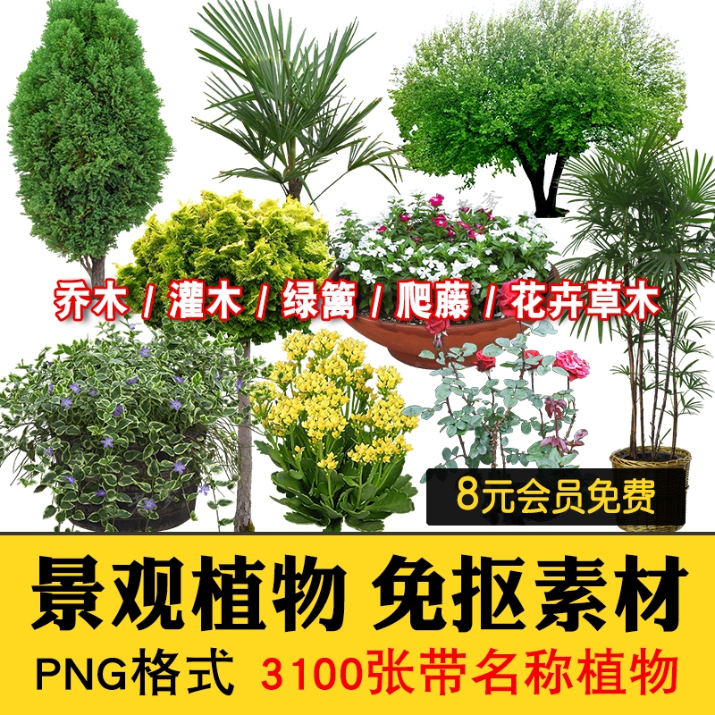 PS景观园林带名称植物乔木灌木PNG免抠花草树后期效果图绿植素材-1