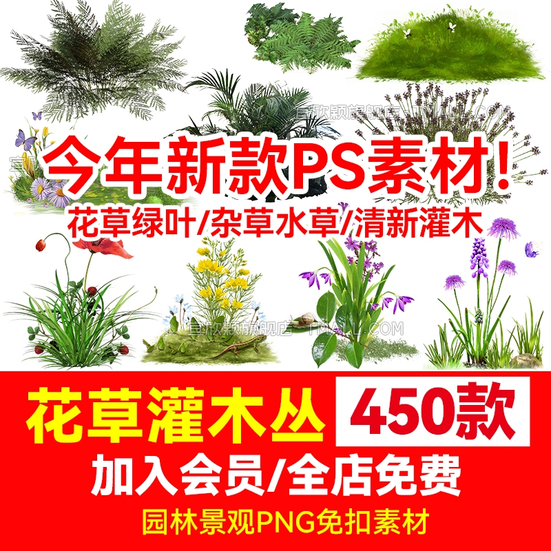 园林景观花草绿叶杂草水草灌木丛观赏植物png免抠透明图片ps素材-1