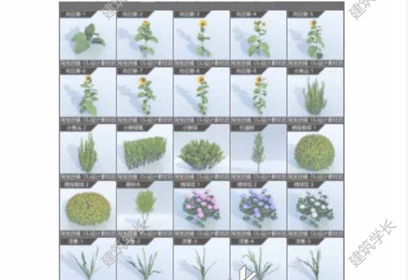 lumion植物组团素材扩展12LUMION1110花卉乔木灌木景观材质-1